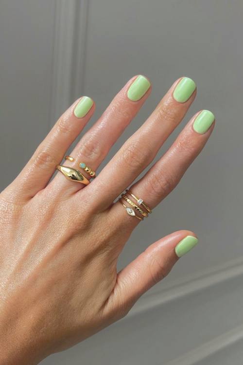 Mint nails spring